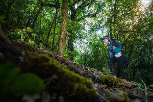 BIB: 3202
                            <button type="button" onclick="openModal(16009894)" class="btn btn-primary btn-sm float-right btn-popup" data-toggle="modal" data-target=".modal-high-quality">
                        <i class="fas fa-shopping-cart"></i> Add to Cart
                    </button>
                                            <button type="button" onclick="isThisMe(16009894, true)" class="btn btn-success btn-sm float-right btn-popup btn-isme hidden" data-toggle="tooltip" data-placement="bottom" title="นี่คือรูปของคุณใช่ไหม คลิกที่นี่เพื่อเอาเข้าอัลบั้ม">
                        <i class="fas fa-plus"></i> Add to album
                    </button>
                    <button type="button" onclick="isThisMe(16009894, false)" class="btn btn-warning btn-sm float-right btn-popup btn-isnotme hidden">
                        <i class="fas fa-ban"></i> Remove from album
                    </button>